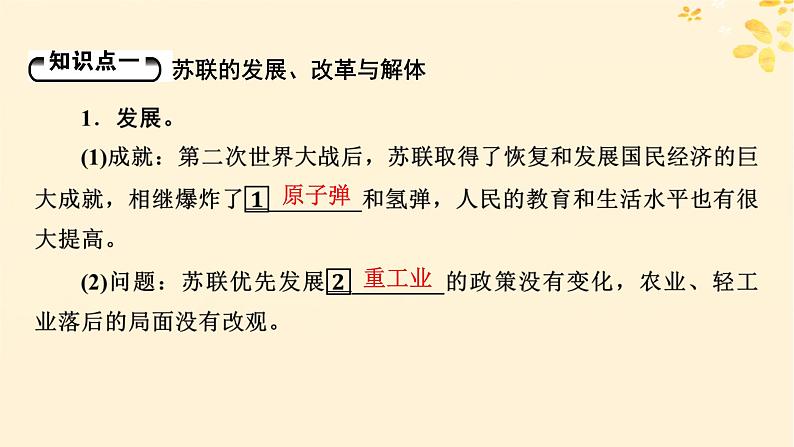 2024春高中历史第八单元20世纪下半叶世界的新变化第20课社会主义国家的发展与变化课件（部编版必修中外历史纲要下）05