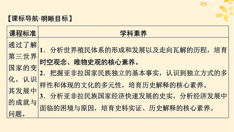 2024春高中历史第八单元20世纪下半叶世界的新变化第21课世界殖民体系的瓦解与新兴国家的发展课件（部编版必修中外历史纲要下）02