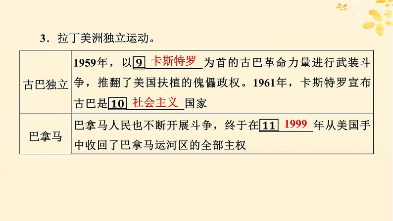 2024春高中历史第八单元20世纪下半叶世界的新变化第21课世界殖民体系的瓦解与新兴国家的发展课件（部编版必修中外历史纲要下）08