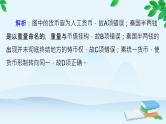 高中历史统编版（2019）选择性必修1 课时作业(十五)货币的使用与世界货币体系的形成课件