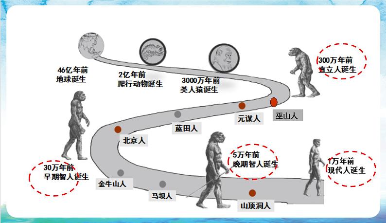 人教部编版高中历史选择性必修2  4.《古代的生产工具与劳作》课件第3页