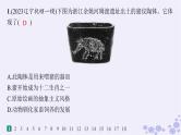 备战2025届高考历史一轮总复习第1单元从中华文明起源到秦汉统一多民族封建国家的建立与巩固课时练第1讲中华文明的起源与早期国家课件