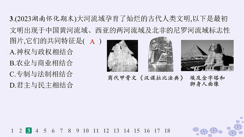 备战2025届高考历史一轮总复习第9单元古代文明的产生与发展及中古时期的世界课时练第26讲古代文明的产生与发展课件06