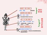 第二单元丰富多样的世界文化第5课南亚东亚与美洲文化课件（部编版选择性必修3）