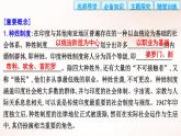 选择性必修3课件第5课南亚、东亚与美洲的文化课件