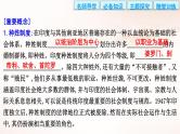 选择性必修3课件第5课南亚、东亚与美洲的文化课件