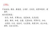 高中历史统编版选择性必修1第11课中国古代的民族关系与对外交往课件