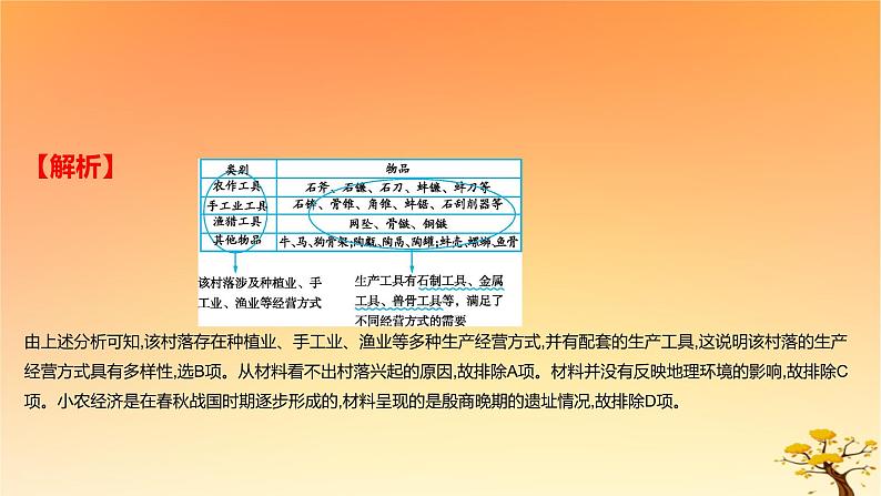 2025版高考历史一轮复习新题精练专题一从中华文明起源到秦汉统一多民族封建国家的建立与巩固考点1中华文明的起源与早期国家能力提升课件05