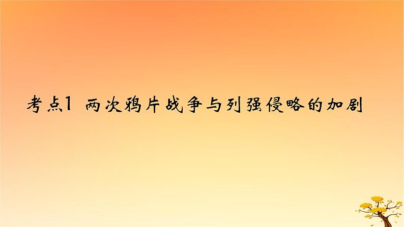 2025版高考历史一轮复习新题精练专题五晚清至民国初期内忧外患和救亡图存考点1两次鸦片战争与列强侵略的加剧能力提升课件01