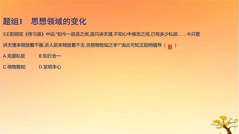 2025版高考历史一轮复习新题精练专题四明清中国版图的奠定与面临的挑战考点2明至清中叶的经济与文化基础知识课件06