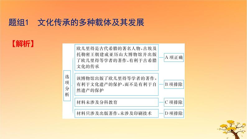 2025版高考历史一轮复习新题精练专题十五文化交流与传播考点6文化的传承与保护基础知识课件07