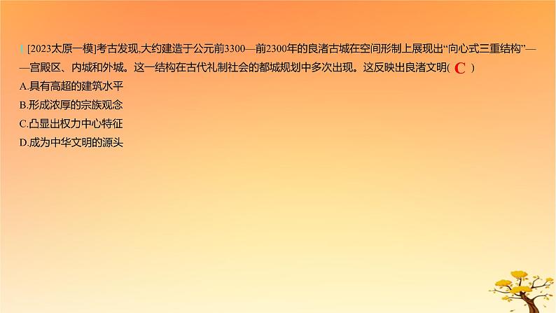 2025版高考历史一轮复习新题精练专题十四经济与社会生活考点4村落城镇与居住环境能力提升课件03