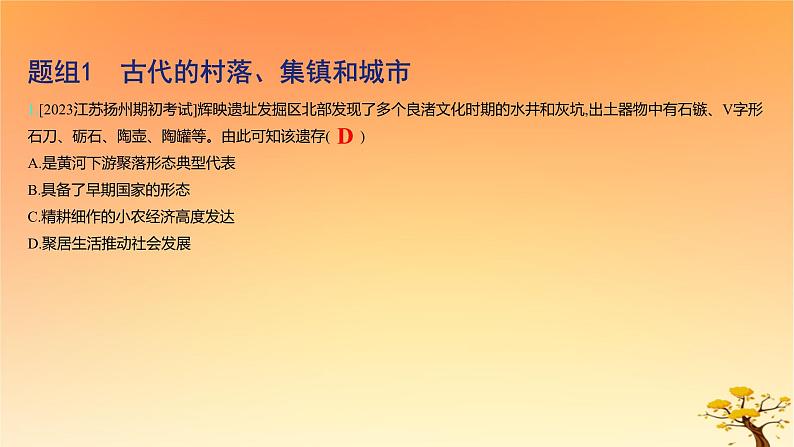 2025版高考历史一轮复习新题精练专题十四经济与社会生活考点4村落城镇与居住环境基础知识课件02