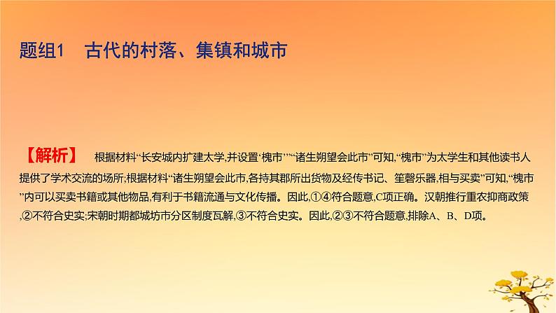 2025版高考历史一轮复习新题精练专题十四经济与社会生活考点4村落城镇与居住环境基础知识课件05