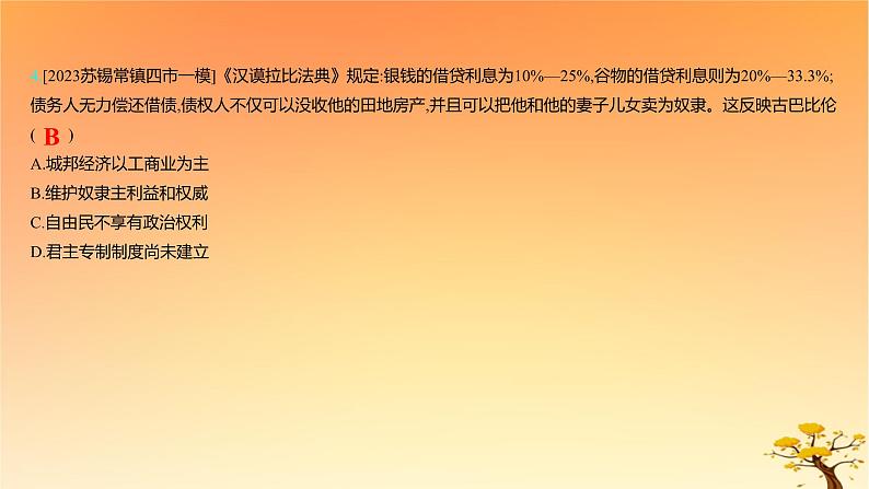 2025版高考历史一轮复习新题精练专题十四经济与社会生活考点3商业贸易与日常生活能力提升课件08