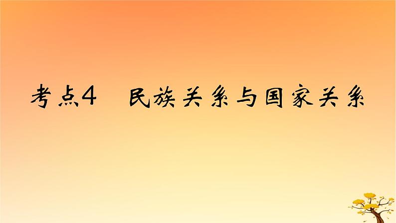 2025版高考历史一轮复习新题精练专题十三国家制度与社会治理考点4民族关系与国家关系能力提升课件01