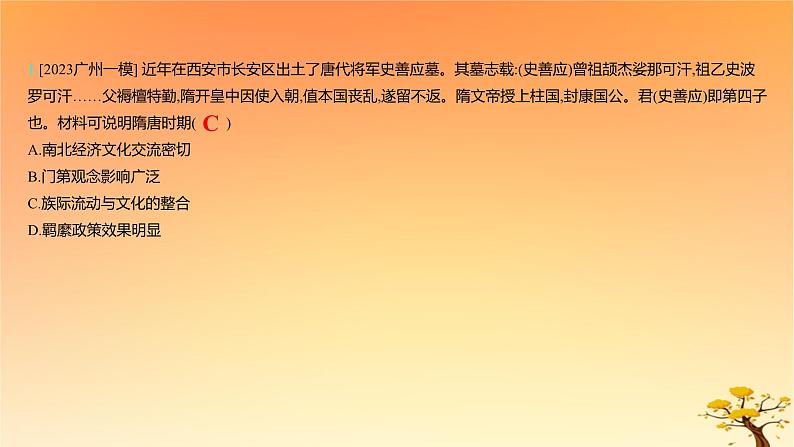 2025版高考历史一轮复习新题精练专题十三国家制度与社会治理考点4民族关系与国家关系能力提升课件05