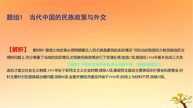 2025版高考历史一轮复习新题精练专题十三国家制度与社会治理考点4民族关系与国家关系基础知识课件03