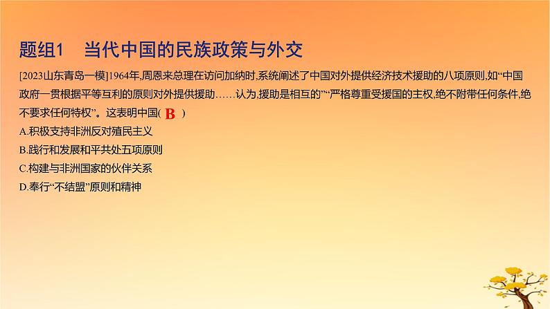 2025版高考历史一轮复习新题精练专题十三国家制度与社会治理考点4民族关系与国家关系基础知识课件04