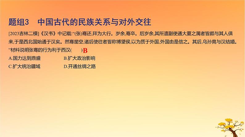 2025版高考历史一轮复习新题精练专题十三国家制度与社会治理考点4民族关系与国家关系基础知识课件06