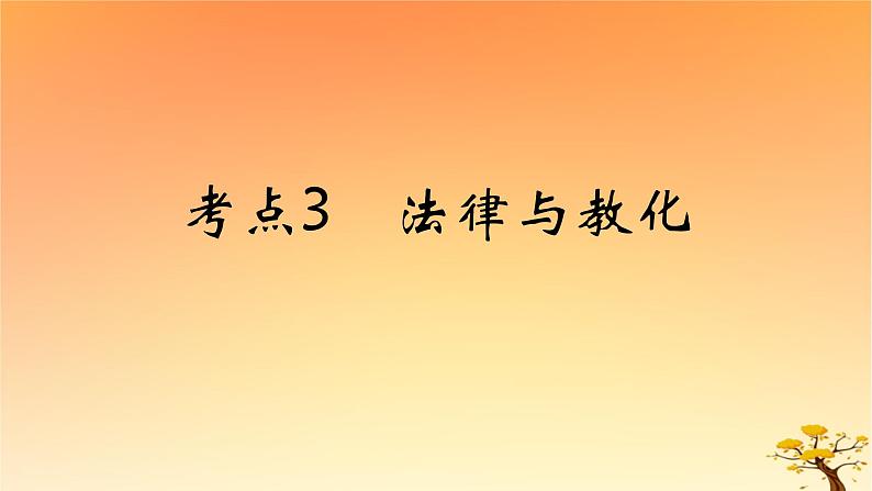 2025版高考历史一轮复习新题精练专题十三国家制度与社会治理考点3法律与教化能力提升课件01