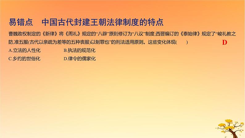 2025版高考历史一轮复习新题精练专题十三国家制度与社会治理考点3法律与教化能力提升课件02