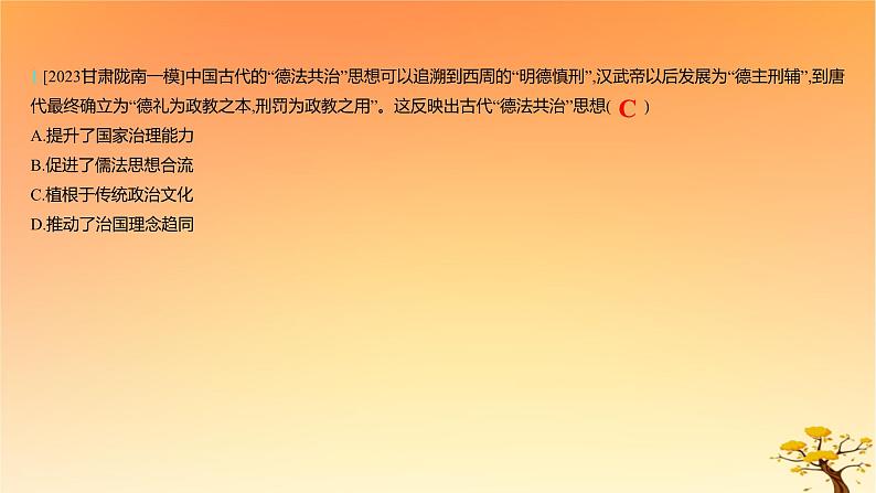 2025版高考历史一轮复习新题精练专题十三国家制度与社会治理考点3法律与教化能力提升课件04