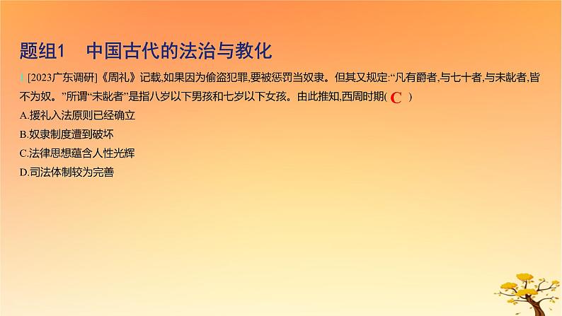 2025版高考历史一轮复习新题精练专题十三国家制度与社会治理考点3法律与教化基础知识课件02