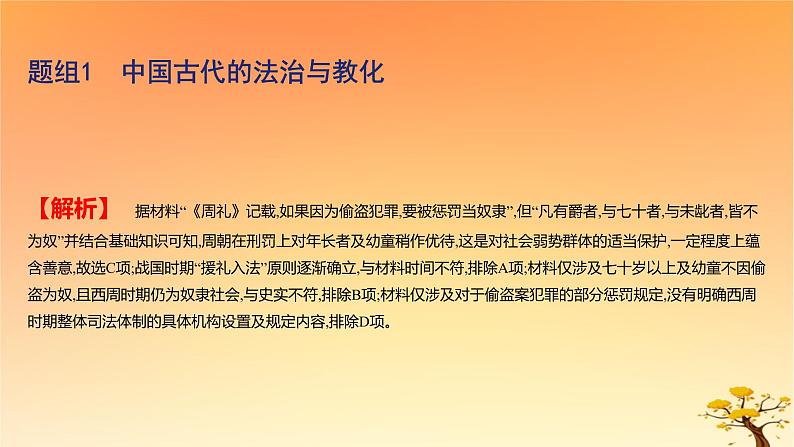 2025版高考历史一轮复习新题精练专题十三国家制度与社会治理考点3法律与教化基础知识课件03