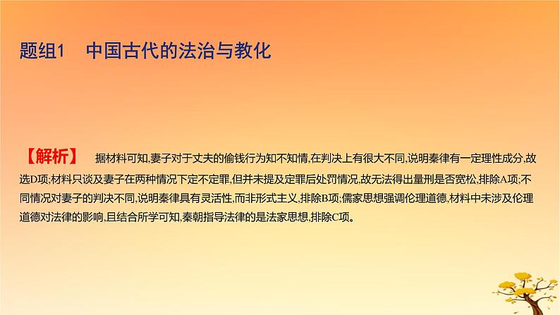 2025版高考历史一轮复习新题精练专题十三国家制度与社会治理考点3法律与教化基础知识课件05