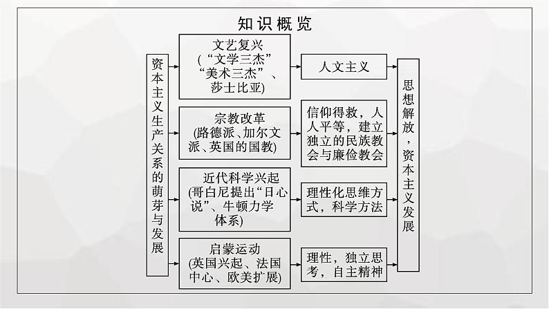 人教版高中历史必修下册第8课欧洲的思想解放运动课件第6页