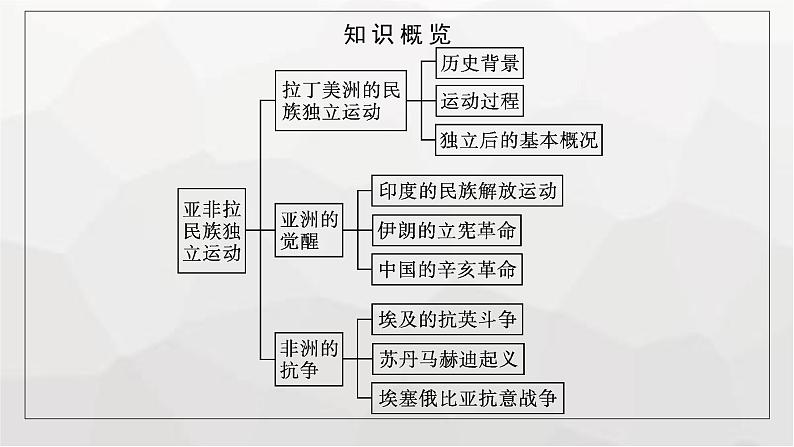 人教版高中历史必修下册第13课亚非拉民族独立运动课件05