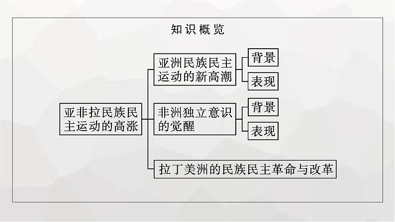 人教版高中历史必修下册第16课亚非拉民族民主运动的高涨课件第5页