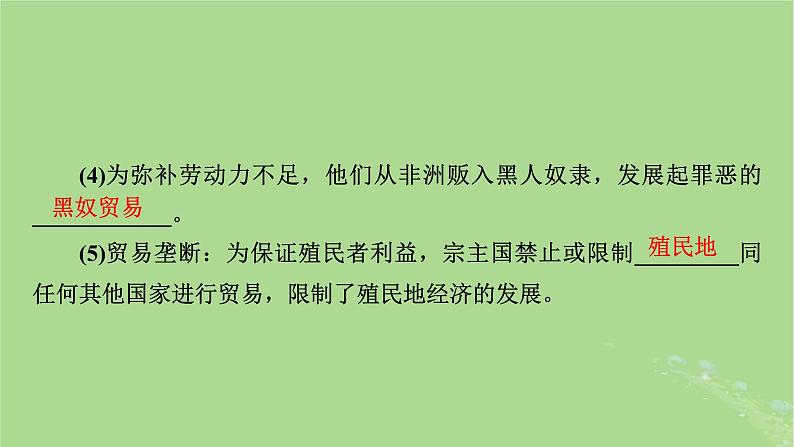 2025版高考历史一轮总复习中外历史纲要下第11单元工业革命与马克思主义的诞生世界殖民体系与亚非拉民族独立运动第33讲资本主义世界殖民体系的形成亚非拉民族独立运动课件07