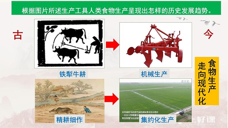 2023-2024学年统编版（2019）选择性必修2 第3课 现代食物的生产、储备与食品安全 课件08