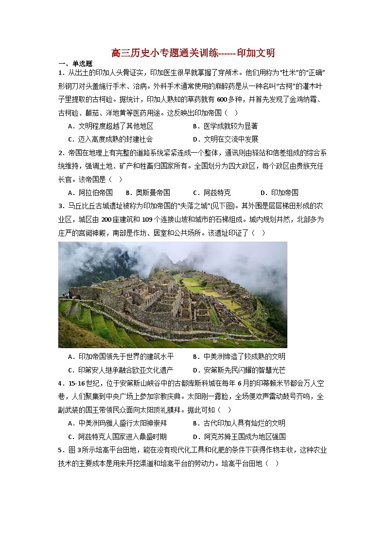 印加文明  小专题通关训练（含解析）  2024届高考统编版历史三轮复习第1页