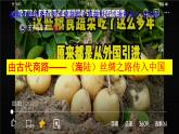第9课古代的商路、贸易与文化交流课件--2023-2024学年统编版（2019）高二历史选择性必修3文化交流与传播