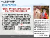 第15课+文化遗产：全人类共同的财富+课件--2023-2024学年高二历史统编版（2019）选择性必修3+文化交流与传播