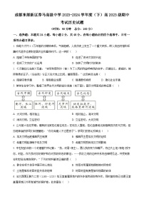 四川省成都东部新区养马高级中学2023-2024学年高一下学期期中历史试题（原卷版+解析版）