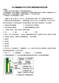 2024届湖南省长沙市宁乡市高三下学期第四次模拟考试历史试卷