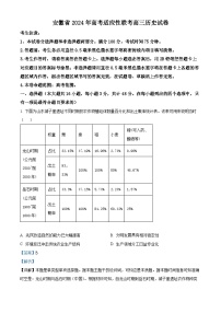 安徽省合肥市2024届高三下学期三模历史试卷（Word版附解析）