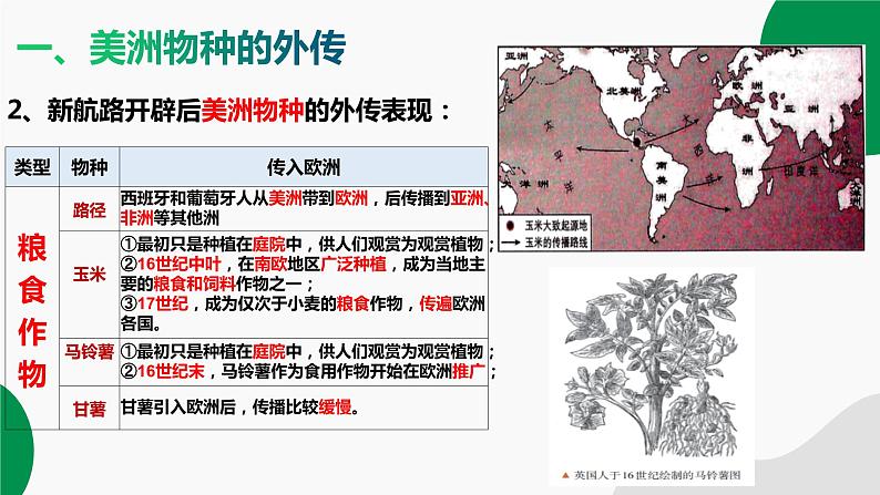 2023-2024学年高二历史同步精品课堂-第2课 新航路开辟后的食物物种交流(精品课件)(选择性必修2：经济与社会生活)08