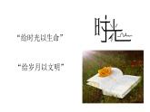 2023-2024学年高二历史同步精品课堂-第14课  文化传承的多种载体及其发展(精品课件)-  2023-2024学年高二历史同步精品课堂(选择性必修3：文化交流与传播)