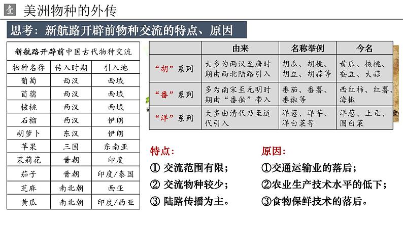 第2课 新航路开辟后的食物物种交流 课件-----2023-2024学年高二历史统编版（2019）选择性必修2第3页