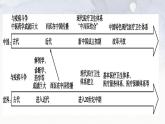 第14课 历史上的疫病与医学成就 课件-----2023-2024学年高二历史统编版（2019）选择性必修2经济与社会生活