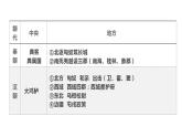 第4单元第11课 中国古代的民族关系与对外交往 课件 ---2023-2024学年高二上学期历史统编版（2019）选择性必修1