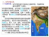 第5课南亚、东亚与美洲的文化课件---2023-2024学年高中历史统编版（2019）选择性必修3