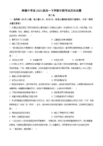 四川省成都市树德中学2023-2024学年高一下学期期中历史试题（原卷版+解析版）