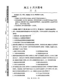 2024山东省智慧上进高三下学期5月大联考试题历史PDF版含解析