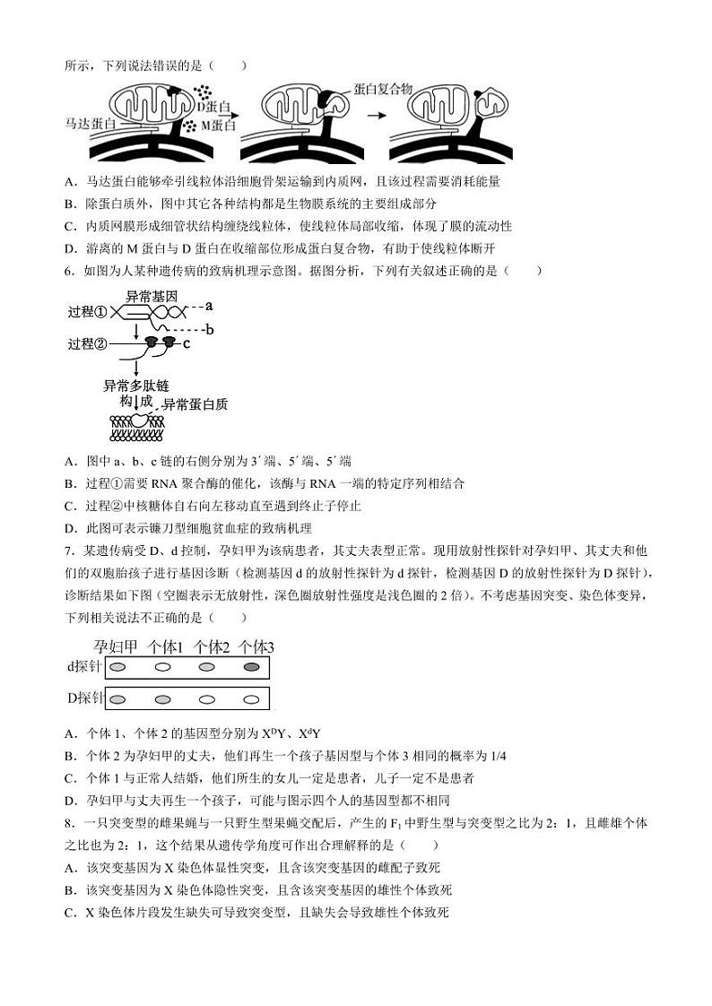 2024届湖北省荆州中学高三下学期第三次适应性考试生物试题第2页